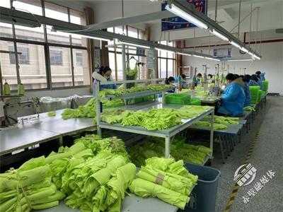 新春新气象，赤壁服装企业设计先行，全力冲刺“开门红”